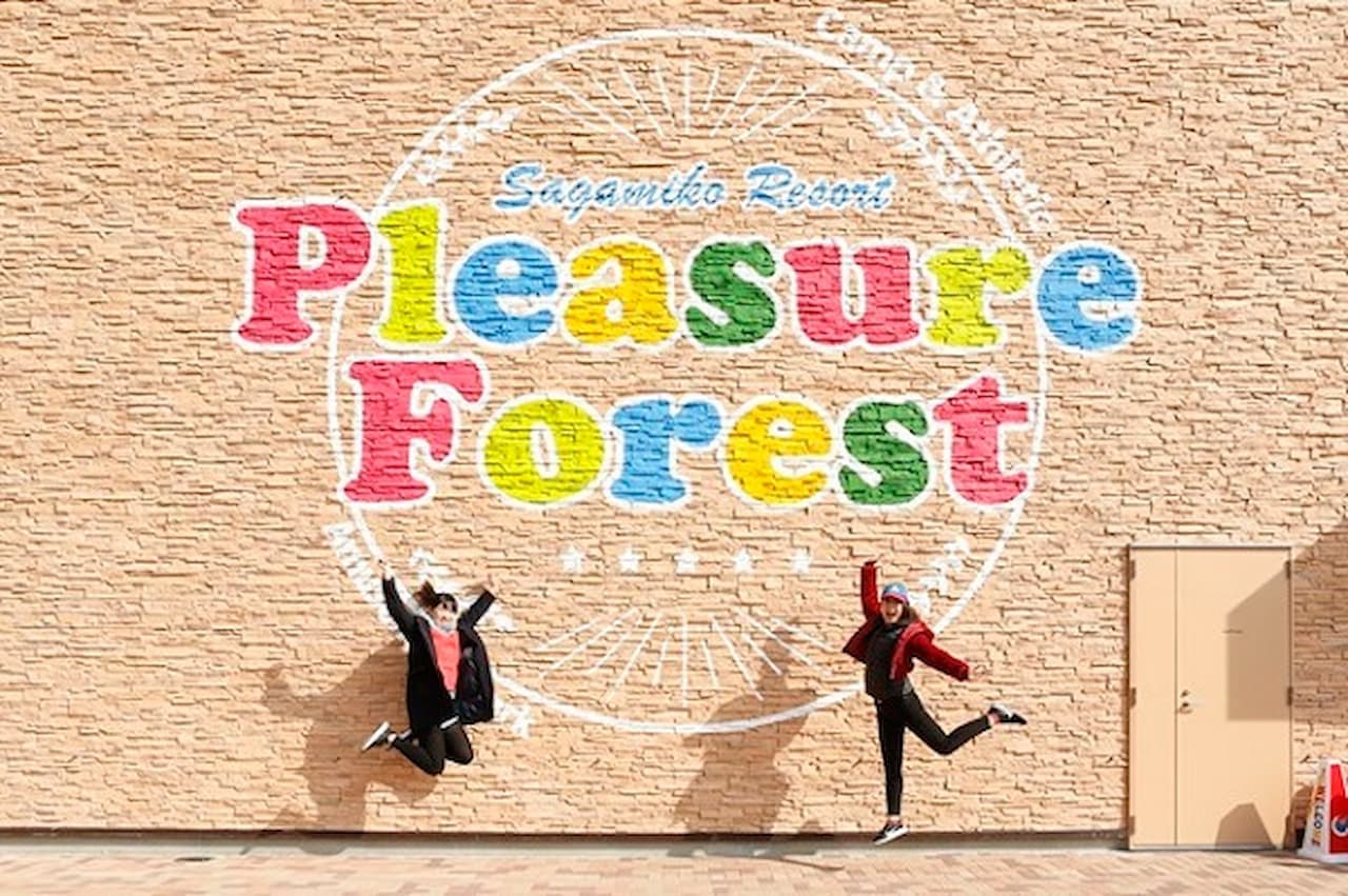 Sagamiko MORI MORI Ticket - image 7